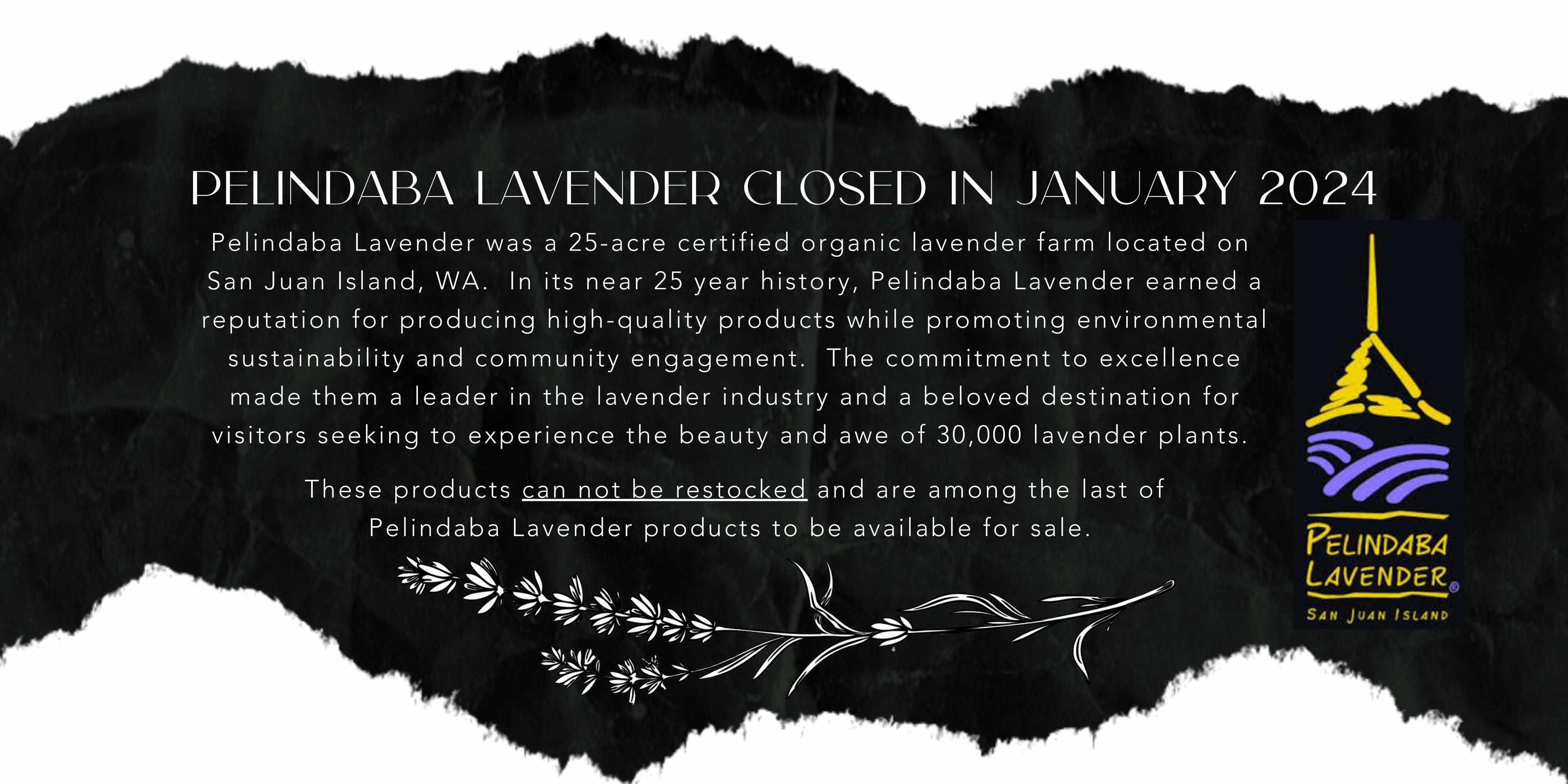 Pelindaba Lavender Closed in Jan 2024