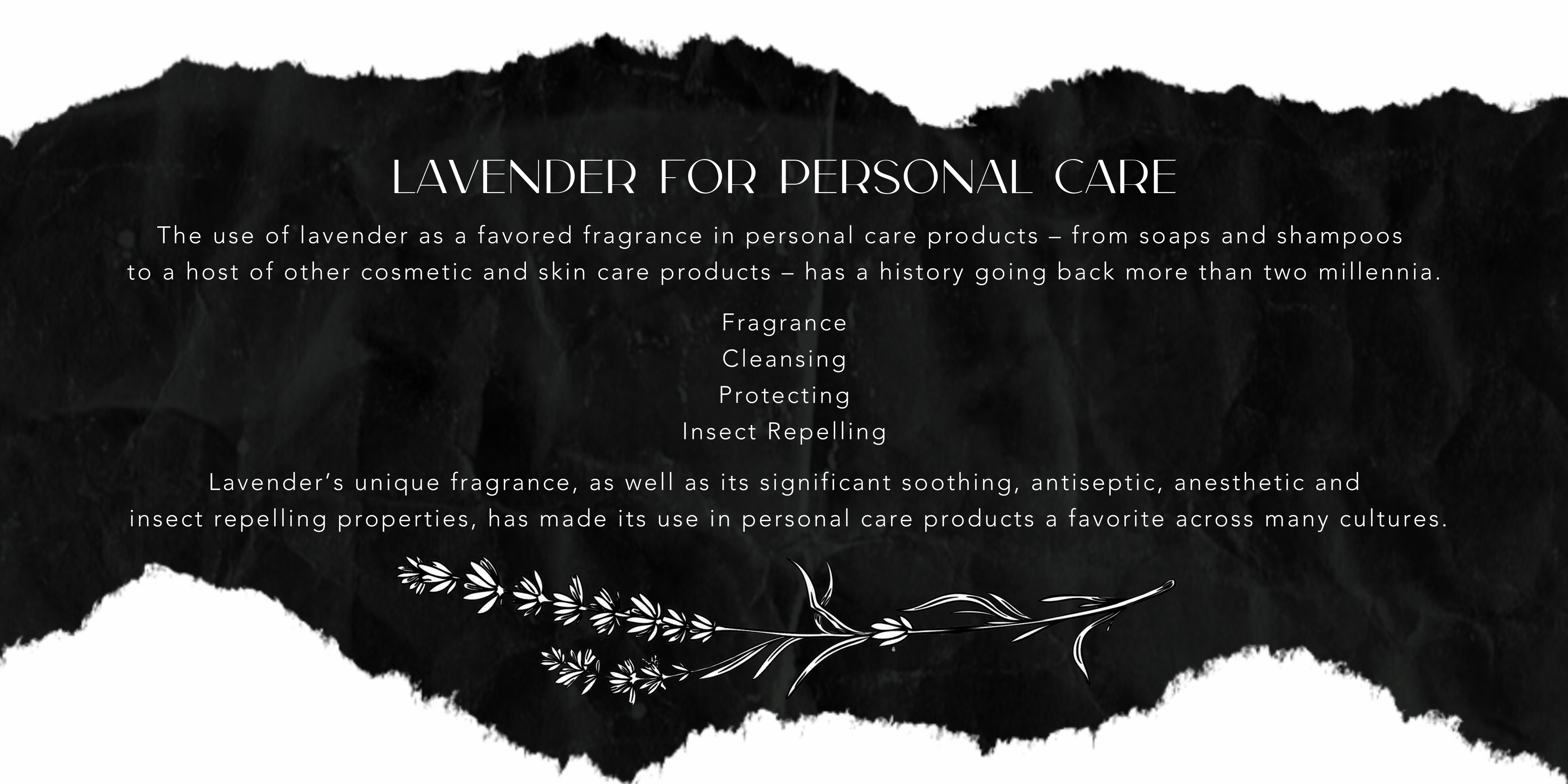 Lavender for Personal Care Collection Highlights