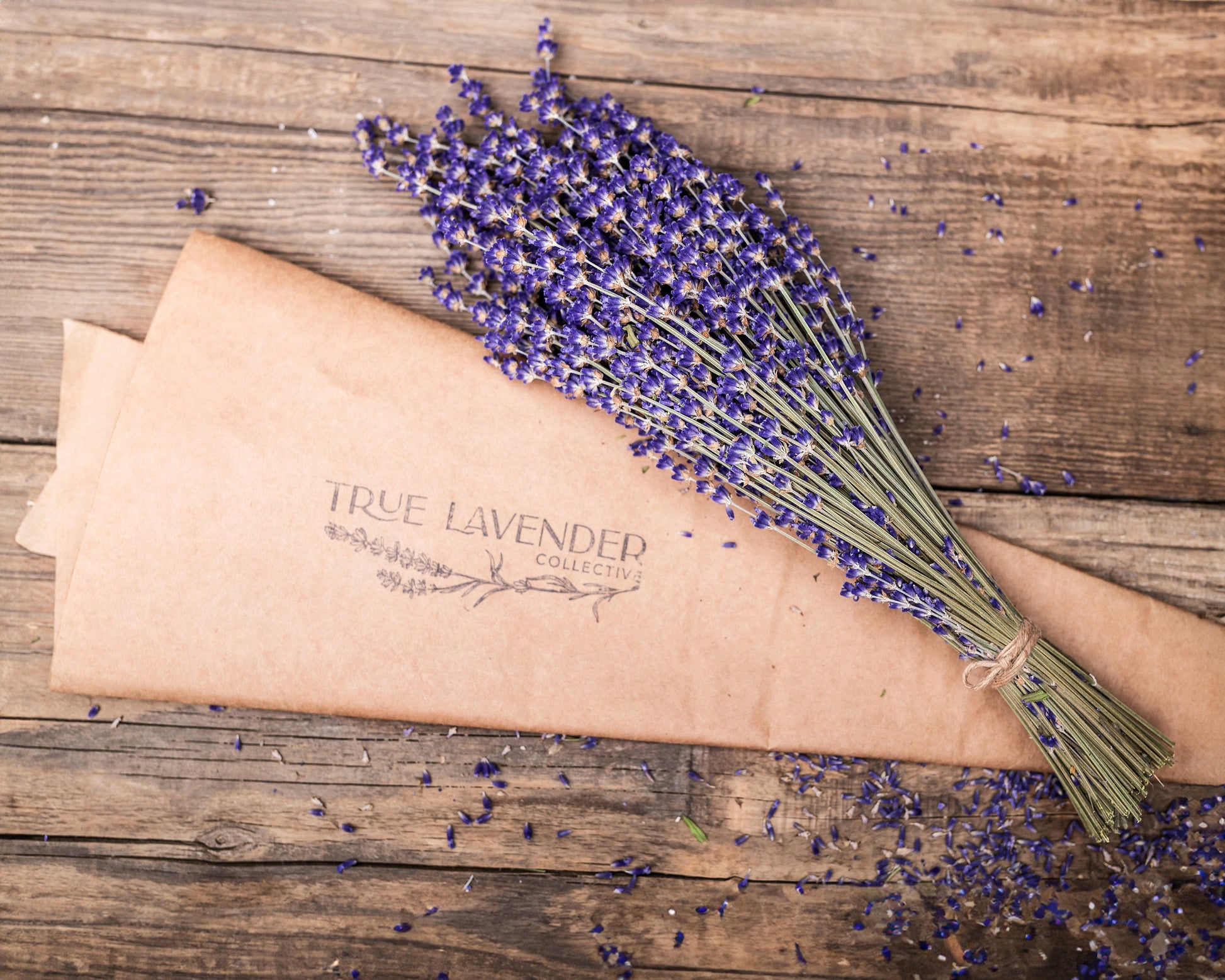 B&B Family Farm Dried Lavender Bundle - 'Royal Velvet'