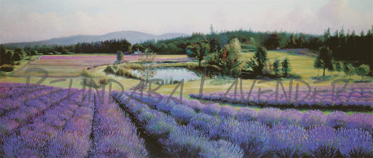 Pelindaba Lavender Greeting Card - "Farm" by Barnard