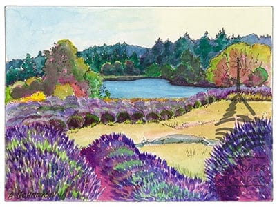 Pelindaba Lavender Greeting Card - "July at Pelindaba" by Johnston