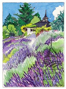 Pelindaba Lavender Greeting Card - "June at Pelindaba" by Johnston