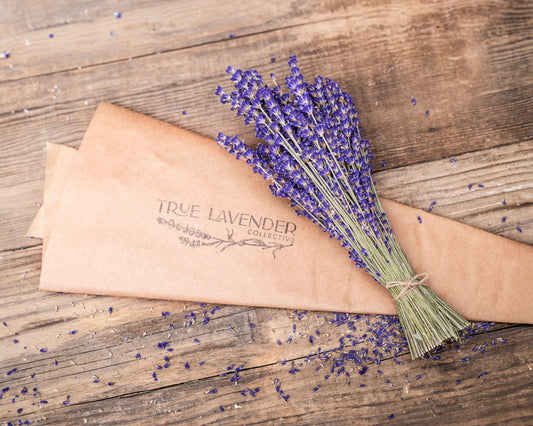 True Lavender Collective Dried Lavender Bundle - 'Folgate'